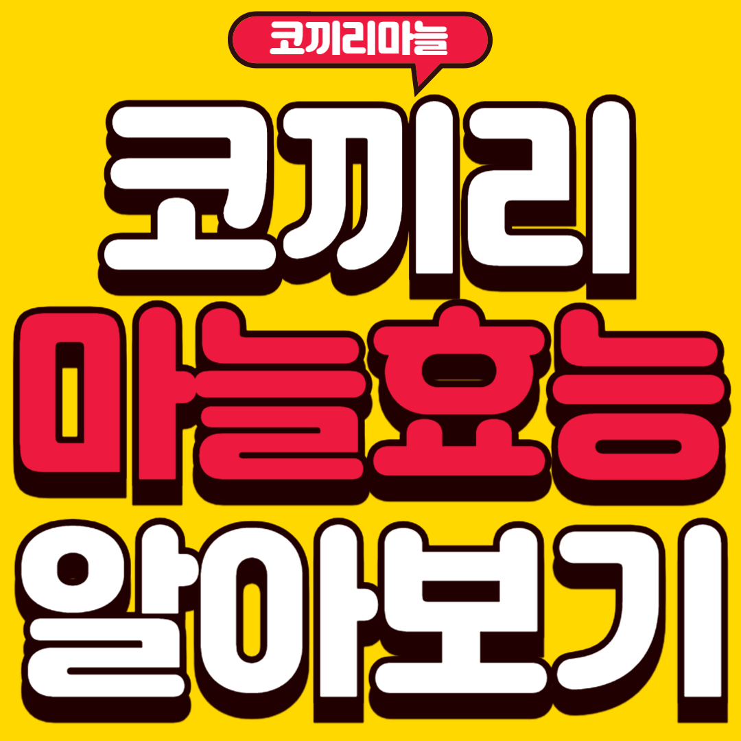 코끼리마늘효능