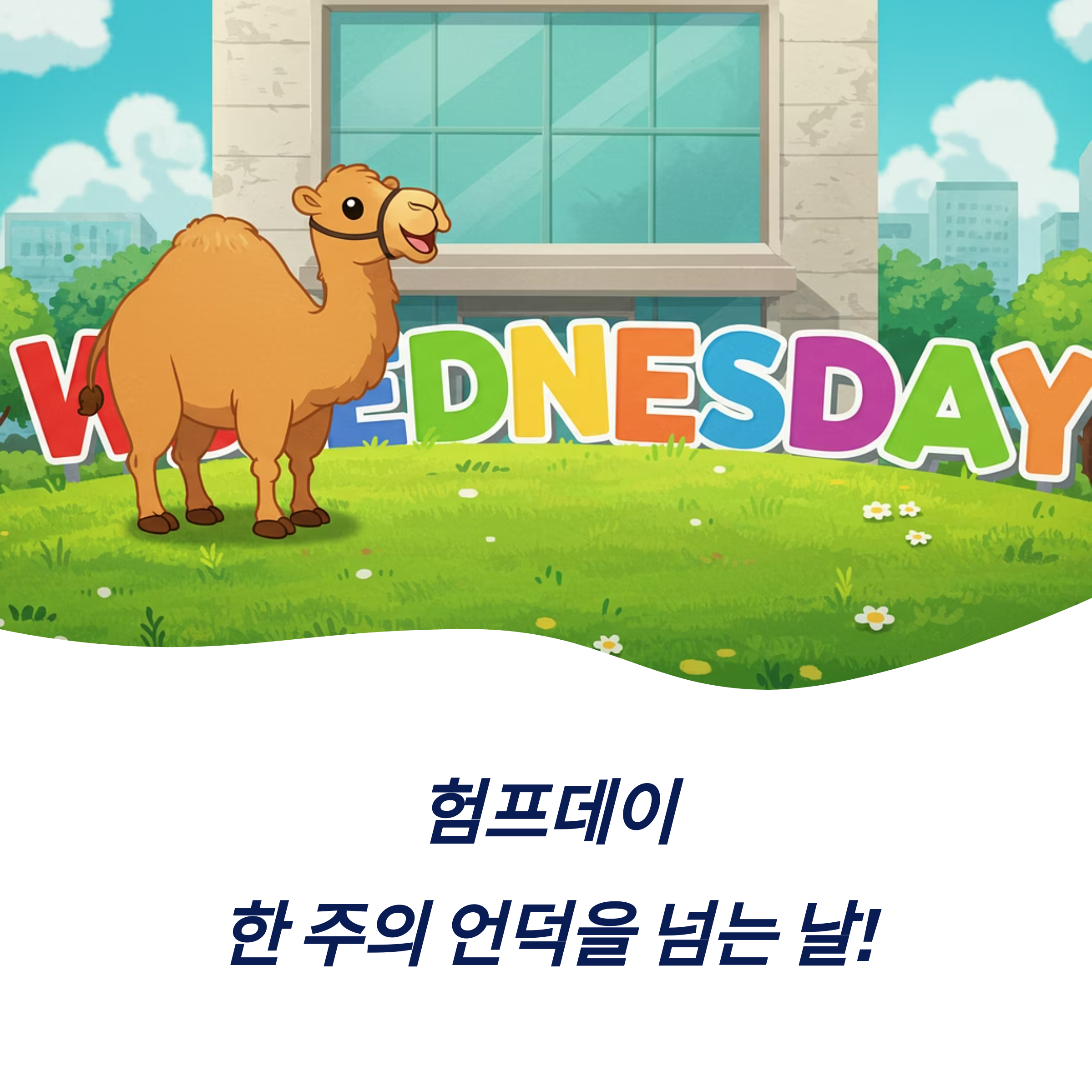 Hump Day 험프데이 의미 수요일 문화 알아보기