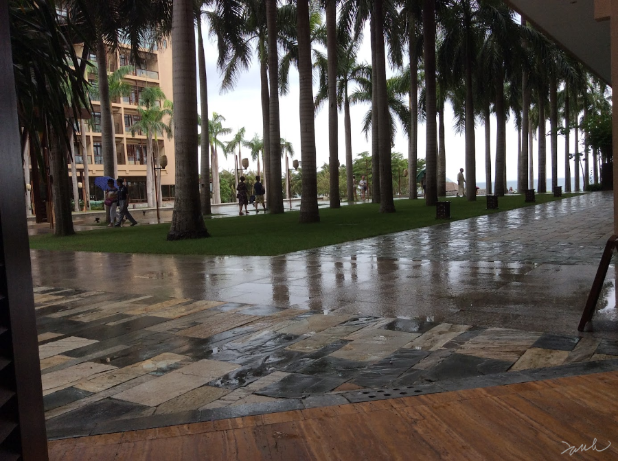 호텔 정면 야자수 사이의 연못 정원: “물이 길이 되어 바다로 흐르다”