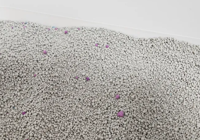 고양이-응고형-모래-벤토나이트-사진