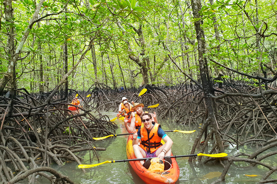 카약 체험 (Mangrove trip by kayak)