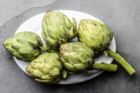 아티초크