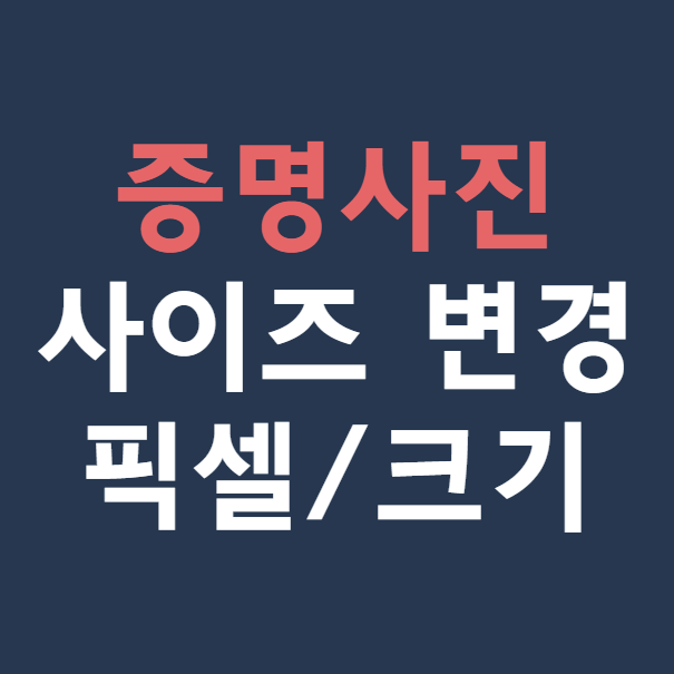 증명사진 크기 조절 &amp; 픽셀 조정 방법 (+초간단 사이즈 변경)