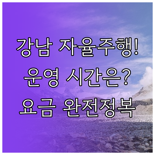 카카오T 강남 자율주행 서비스 이용 ..