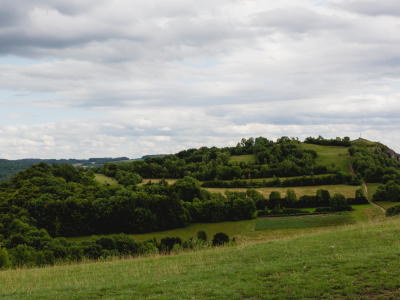 농지연금 가입조건 수령액 계산 총정리