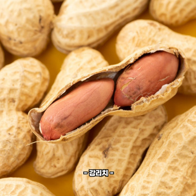 땅콩 부작용