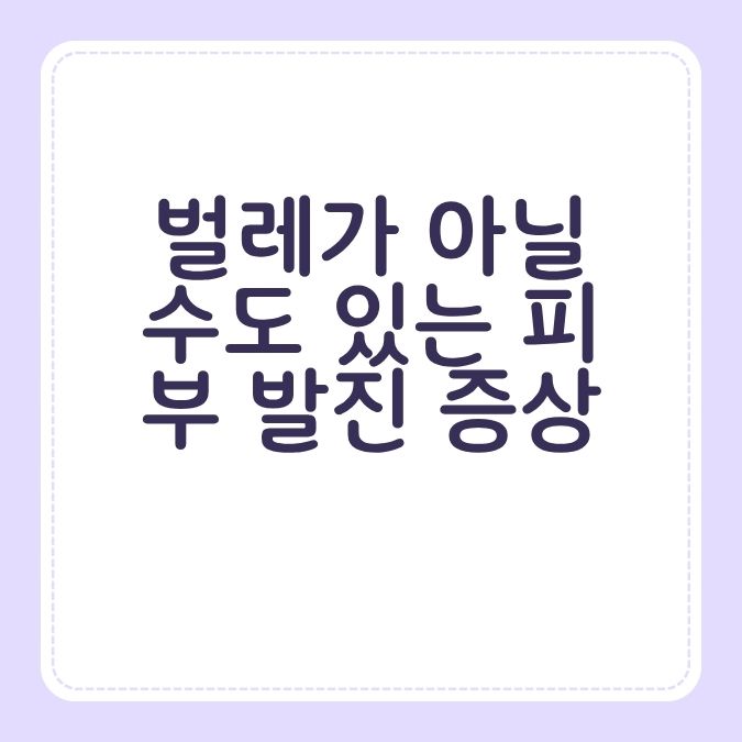 벌레가 아닐 수도 있는 피부 발진 증상