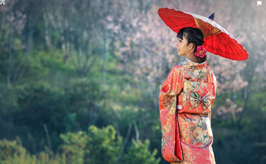 일본 관련 사진