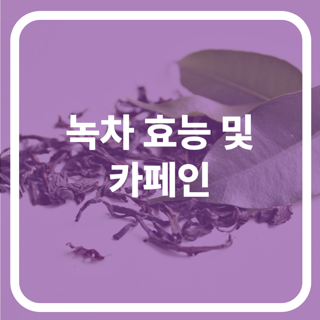 녹차 효능 및 카페인 함량