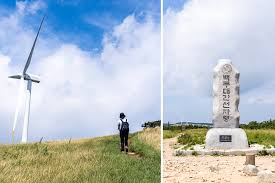 여름에 걷기 좋은 숲길 10