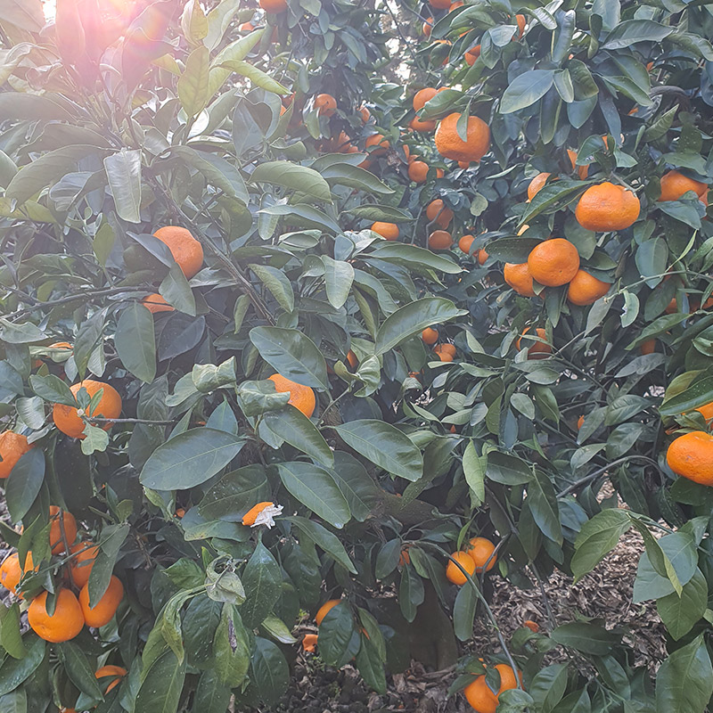 제주도-여행-코스