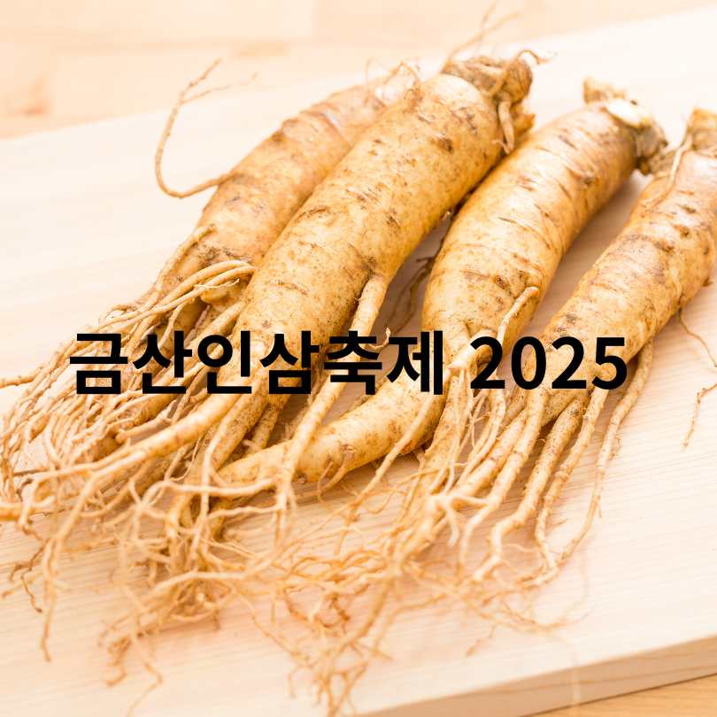 금산인삼축제 2025