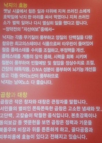 낙지곱창대창효능