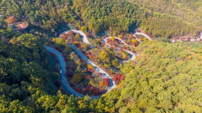 단양-보발재-전망대에서-만나는-가을-절경