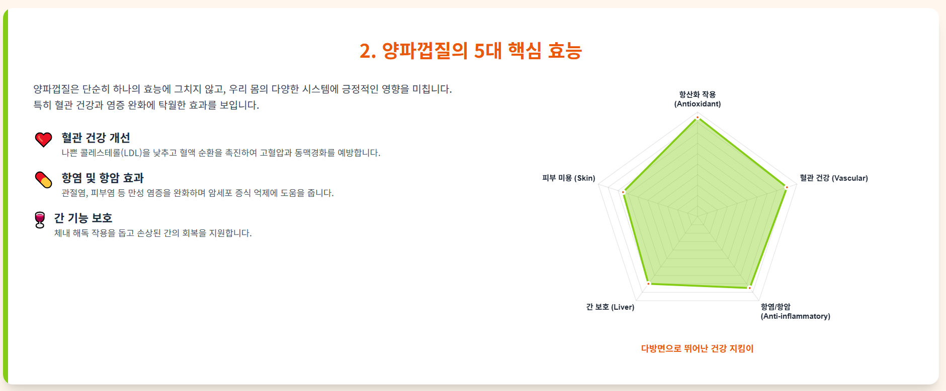 양파껍질의 5대 핵심 효능을 알려주는 인포그래픽 이미지