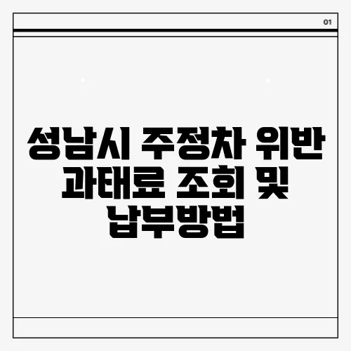 성남시 주정차 위반 과태료 조회 및 납부방법