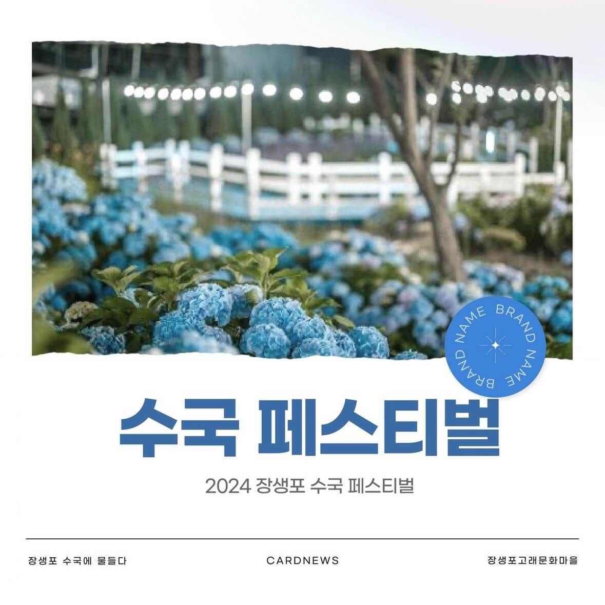 장생포 수국축제