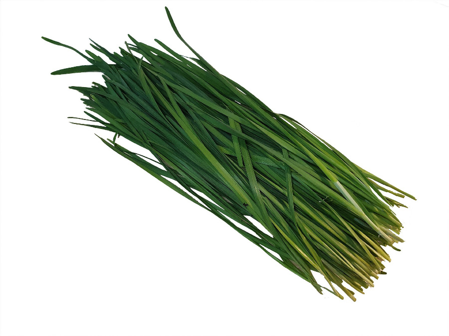 야생에서 채취를 한 부추를 잘 세척하고&#44; 잡질을 제거한 후에 한 다발 하얀 바닥 위에 두고 찍은 사진