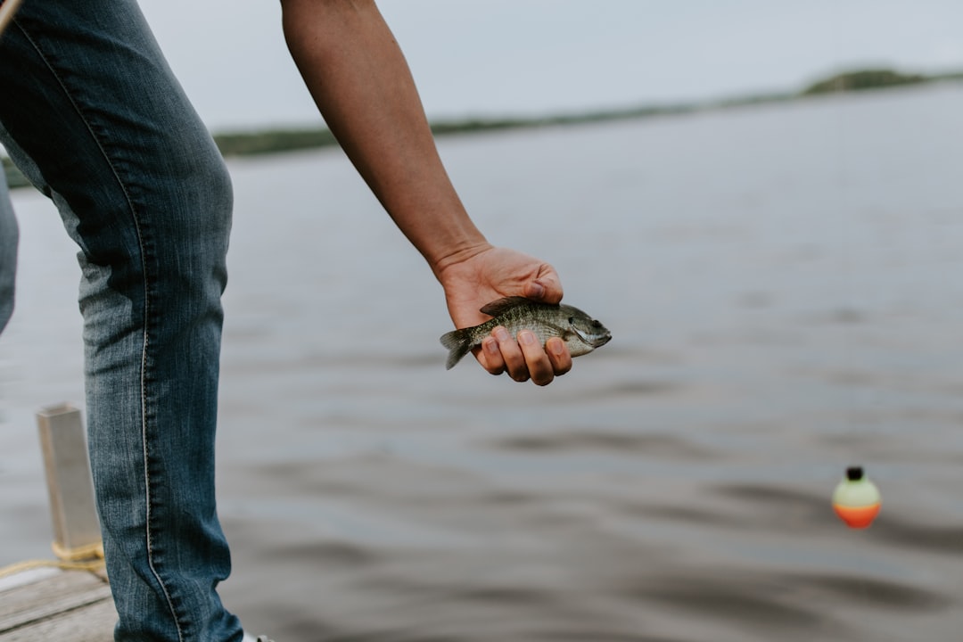 Fishing