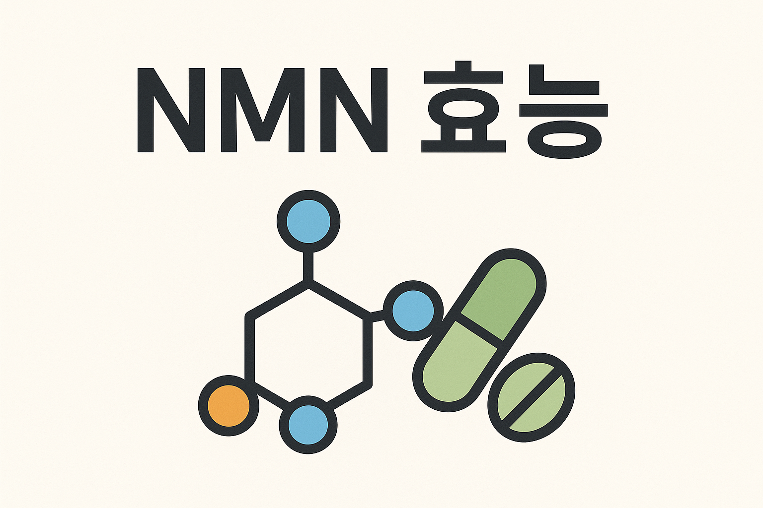nmn 효능