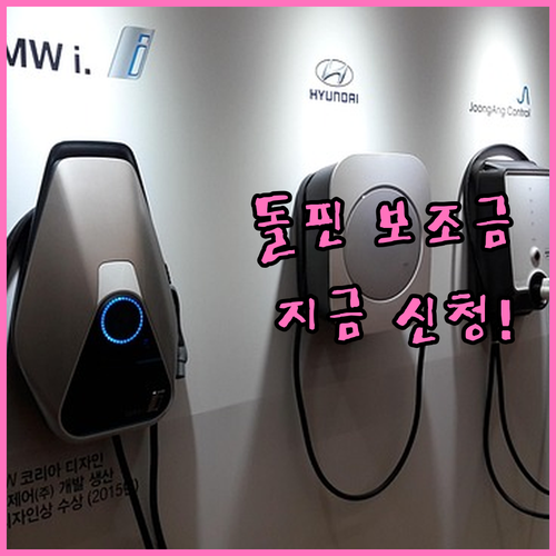 BYD 돌핀 Active 전기차 보조..