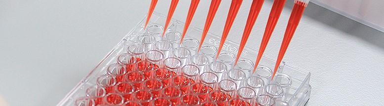 바이오의약품 개발 및 상업화 부문