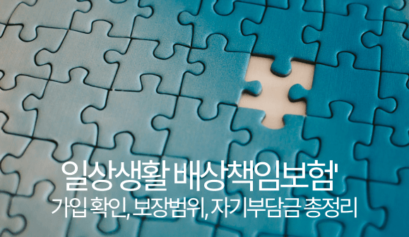 일상생홟배상책임보험