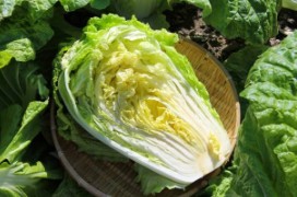 홈플러스 절임배추 예약