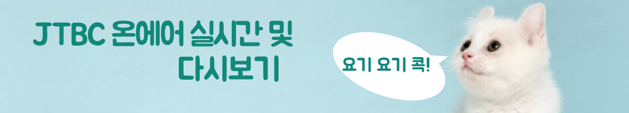 JTBC 실시간 및 다시보기 방법