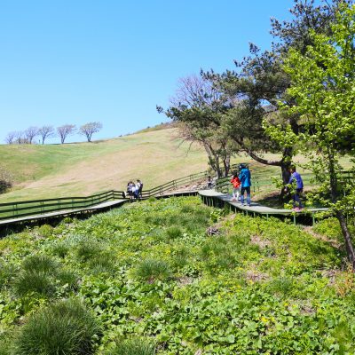 ๋๊ด๋ น ์๋ผ๋ชฉ์ฅ