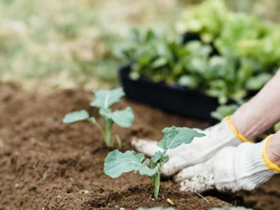 농업인 경영체등록