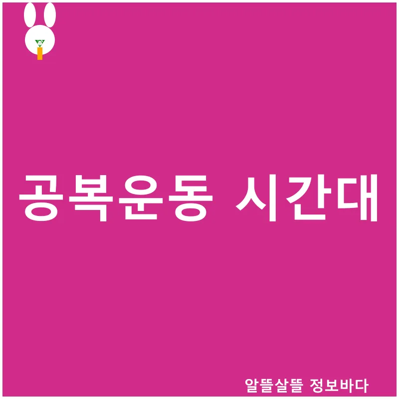 보라카이 아리엘 투어_1_subsection