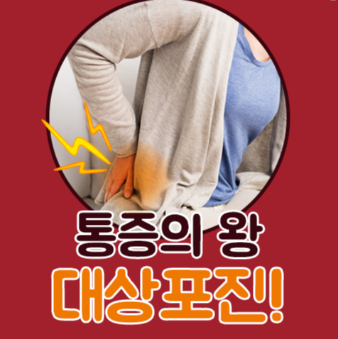 진병관리청 대상포진 카드뉴스