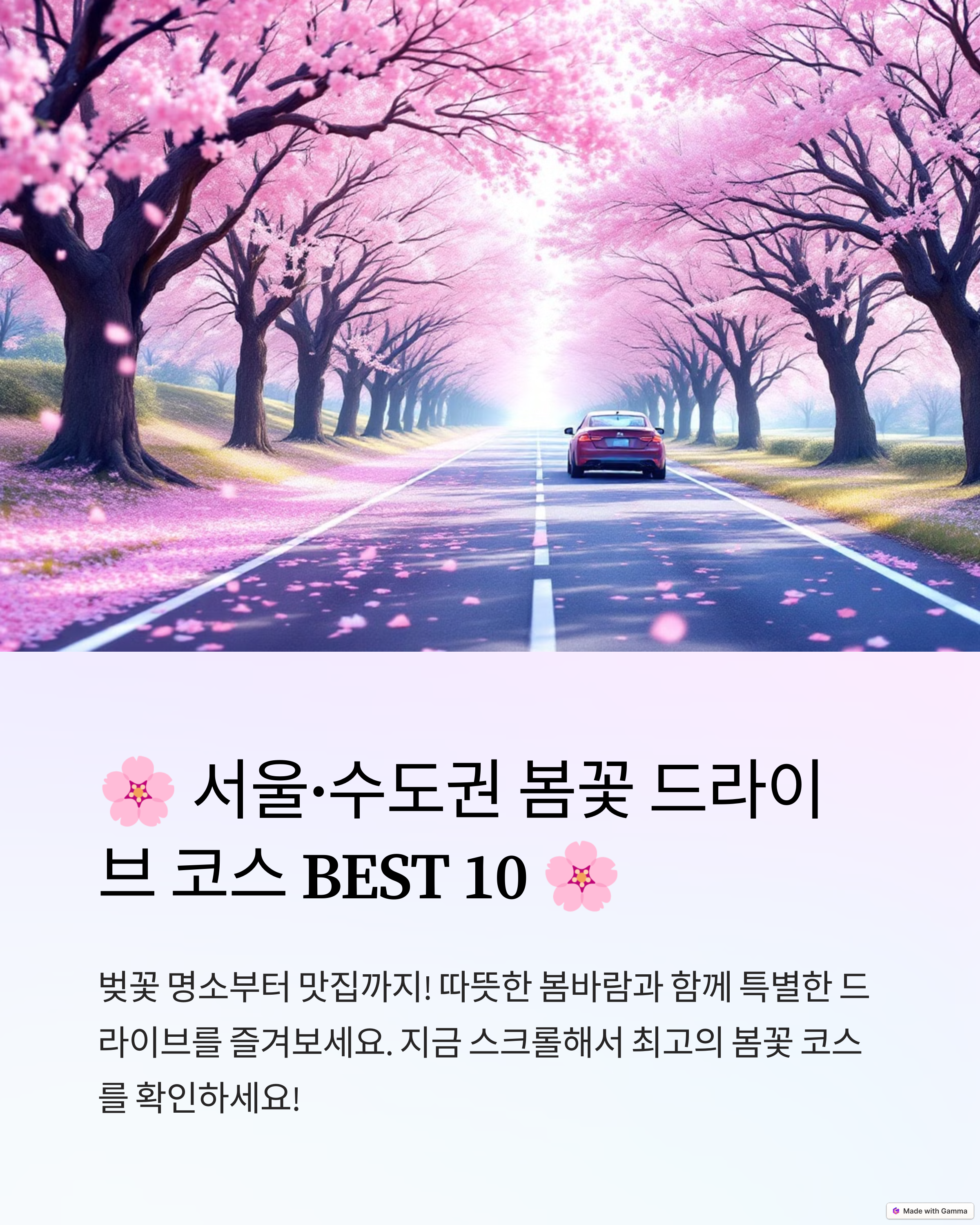 서울 벚꽃 드라이브, 서울 근교 드라이브