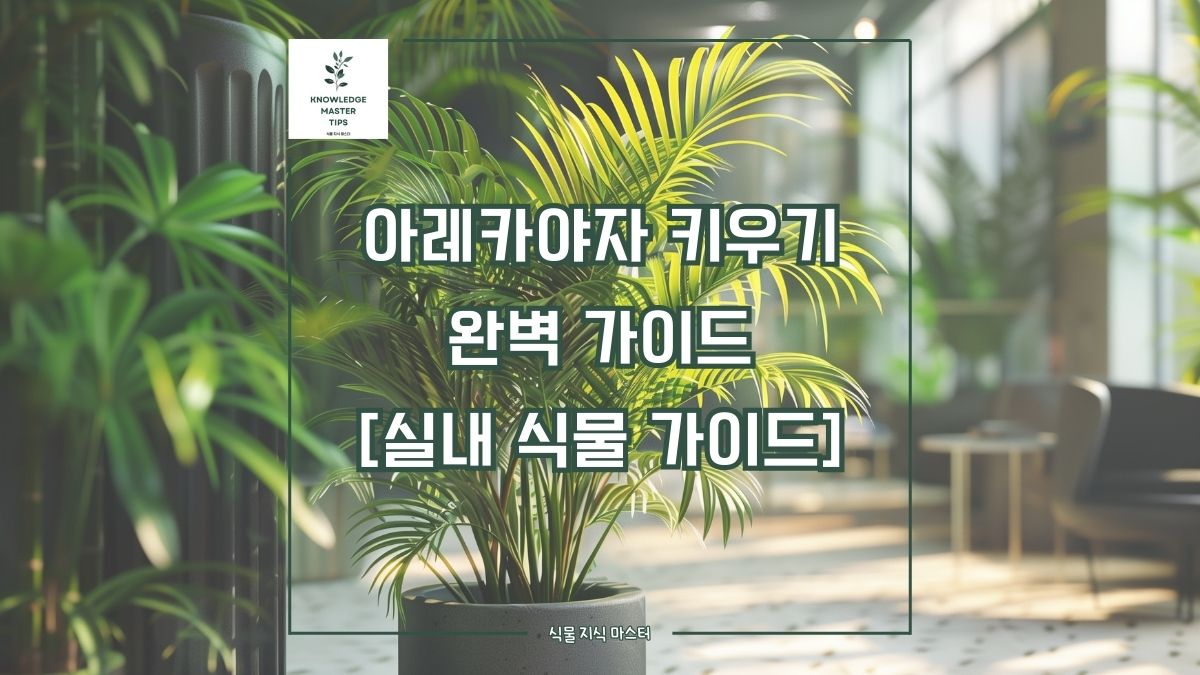 아레카야자 키우기, 완벽 가이드 [실내 식물 가이드]