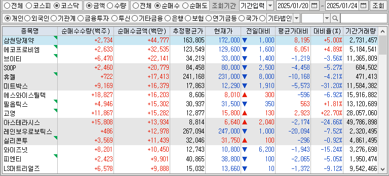 주간 코스닥 개인 순매수
