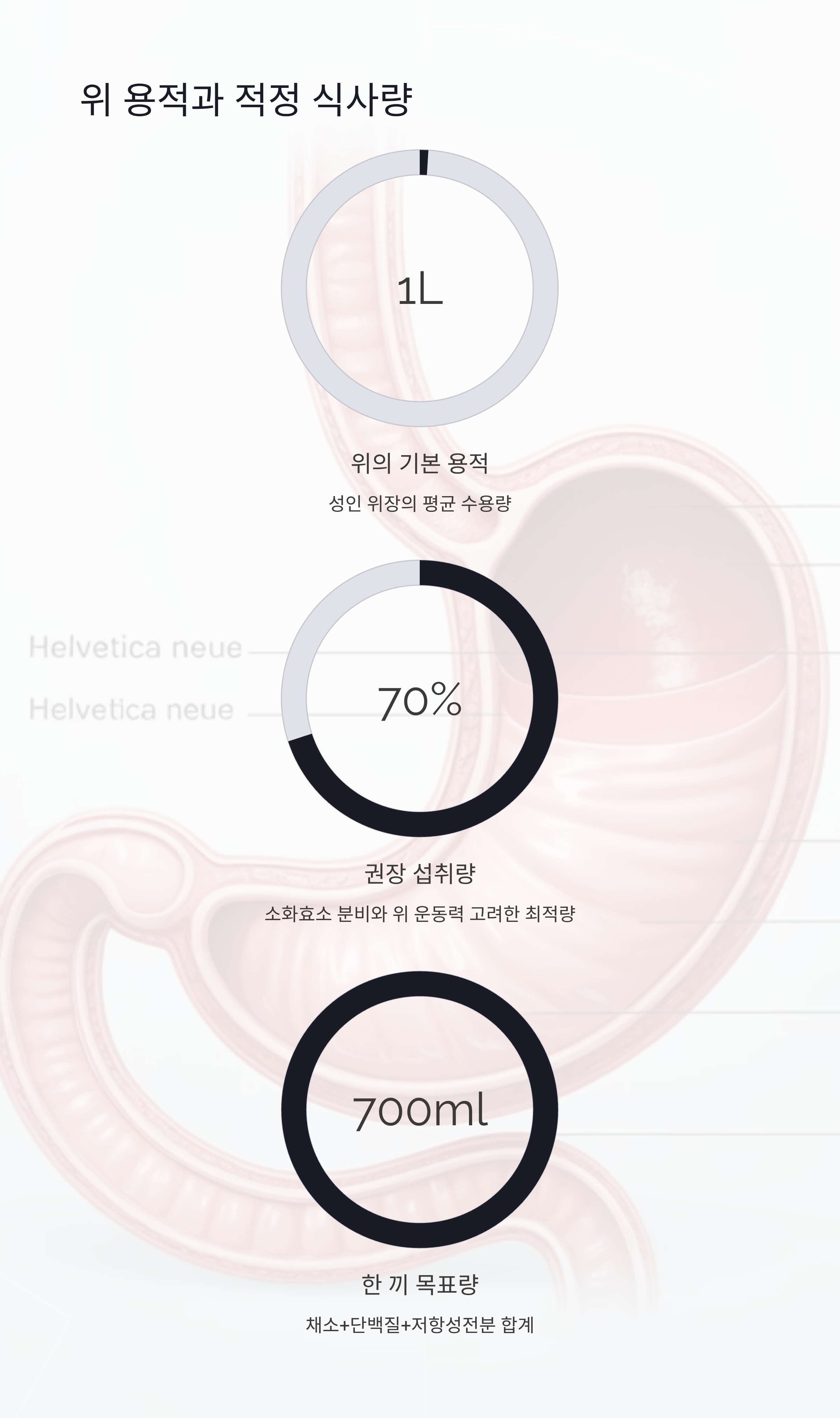 위 용적과 적정 식사량