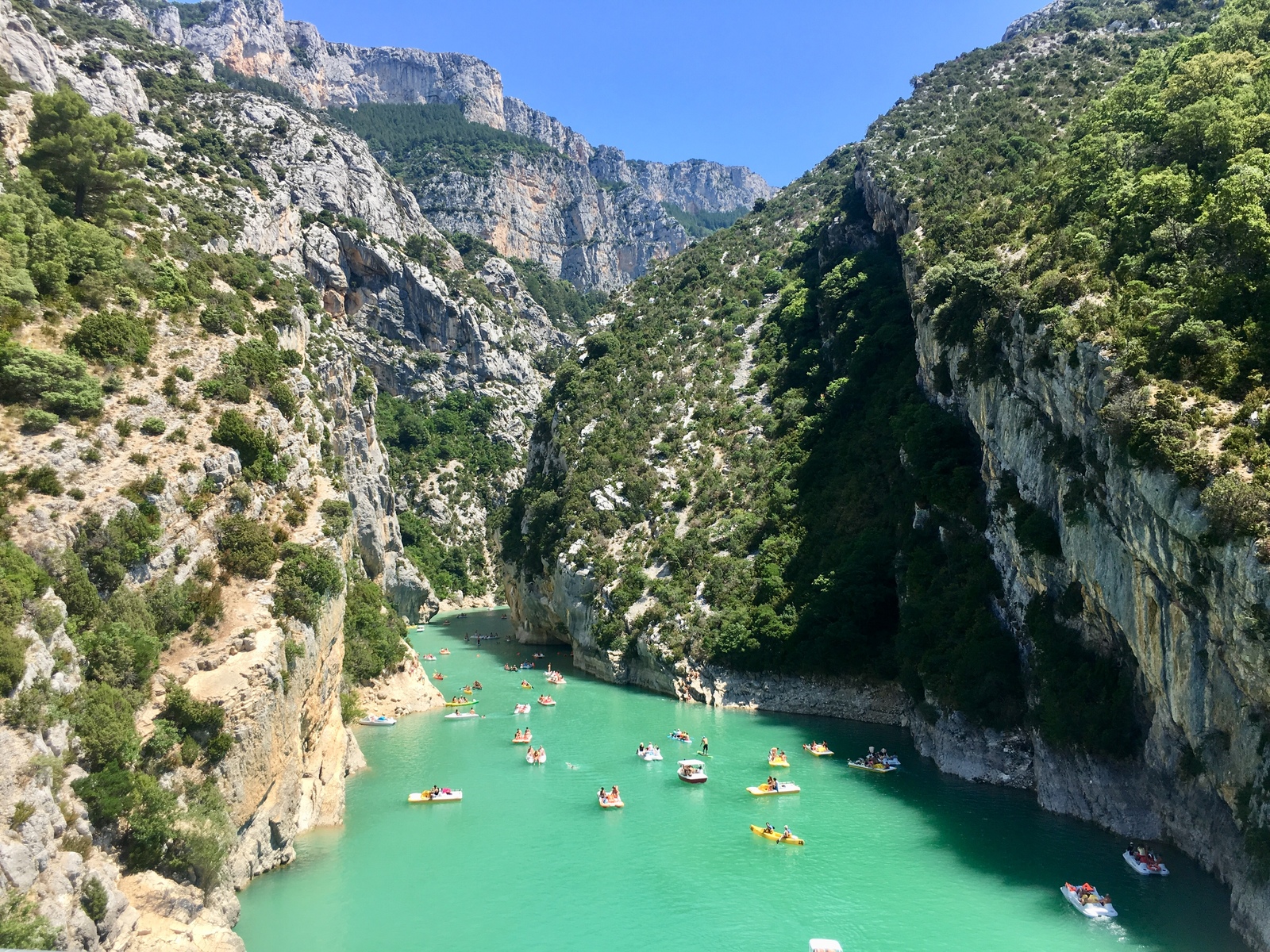 프랑스-남부-라벤더-7~8월-개화-남프랑스-투어-추천