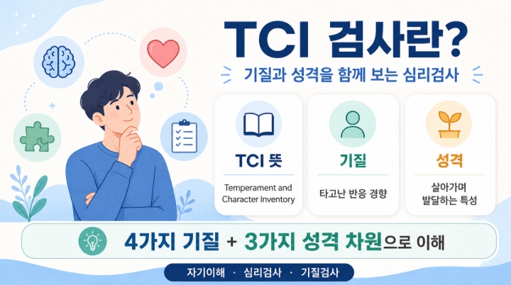 TCI 검사 뜻 기질검사 무료로 하는 방법과 해석 주의사항