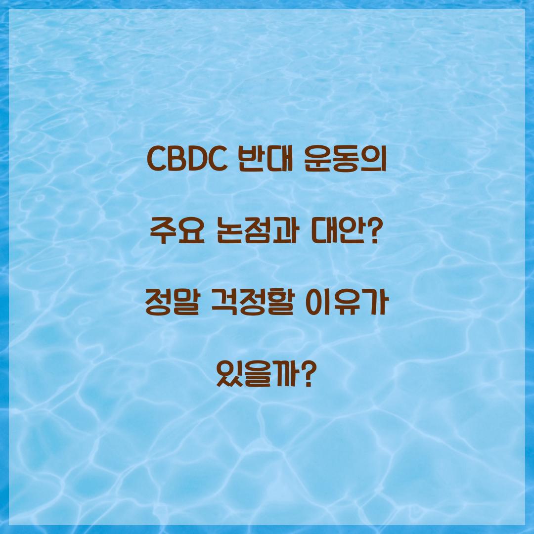 CBDC 반대 운동의 주요 논점과 대안