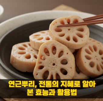 연근 요리