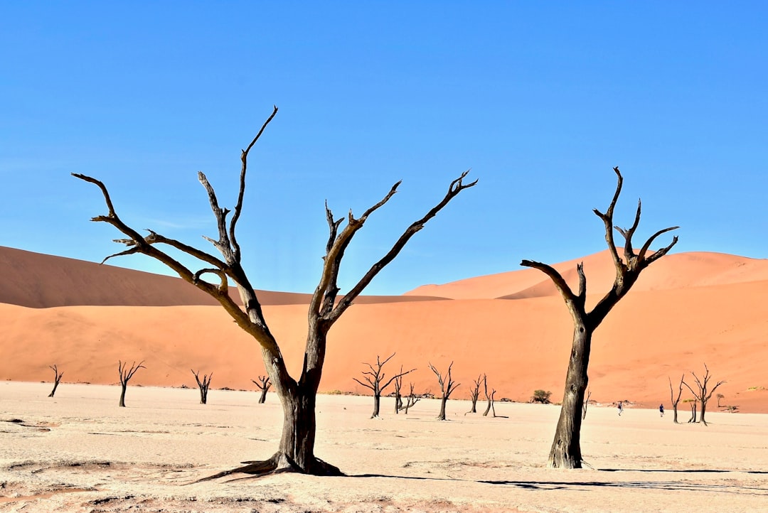 Desert