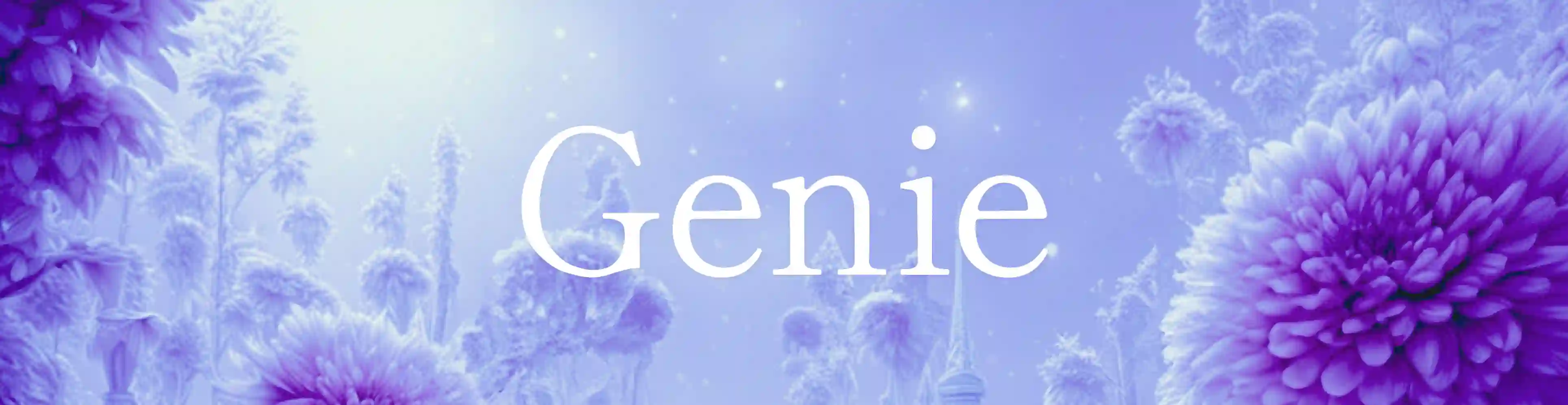 소원을 말해봐 Genie japanese ver