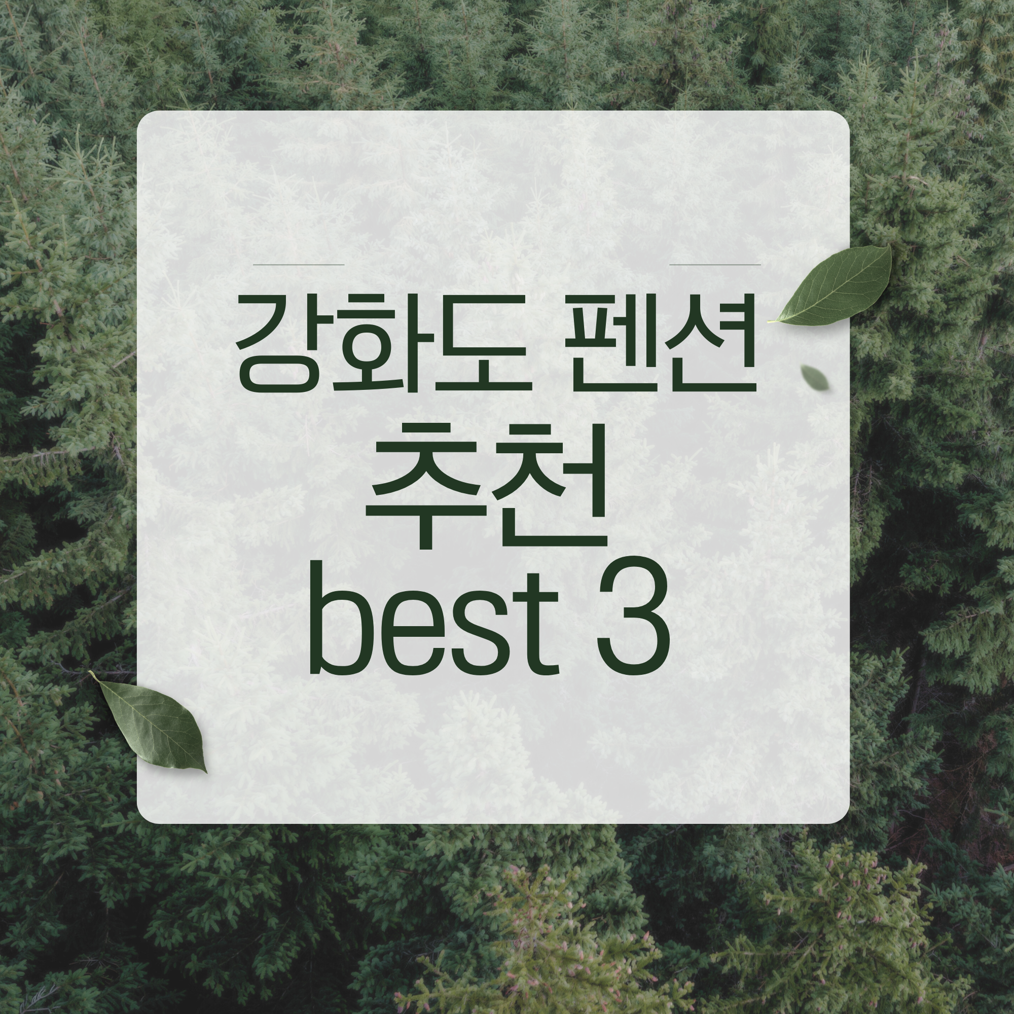 강화도 펜션 강화도 팬션 애견펜션