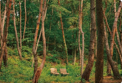 6월 여행지 추천