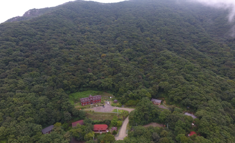 팔영산 자연휴양림