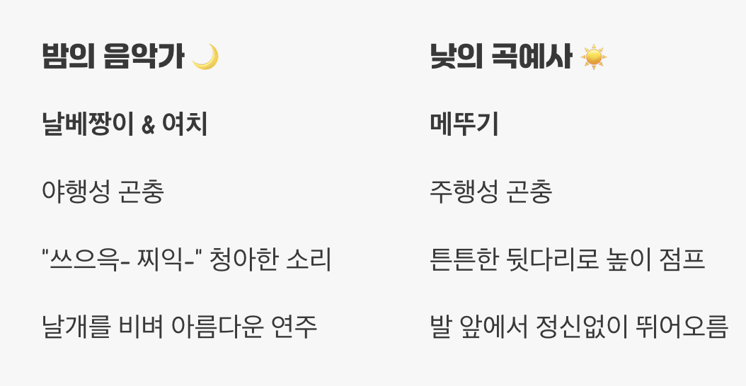 밤의 가수 vs 낮의 곡예사