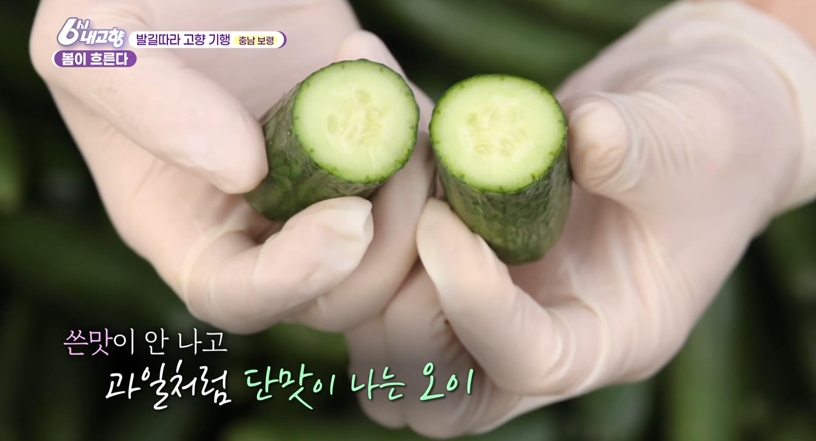 6시내고향 미니오이를 반으로 잘라낸 모습