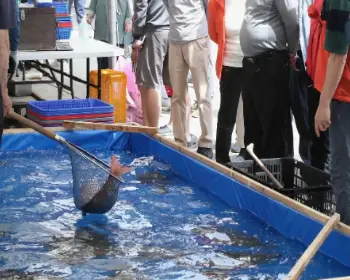 서천 자연산 광어 도미축제_12