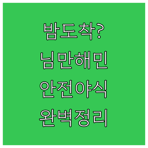 밤비행기 치앙마이 도착 님만해민 호텔..